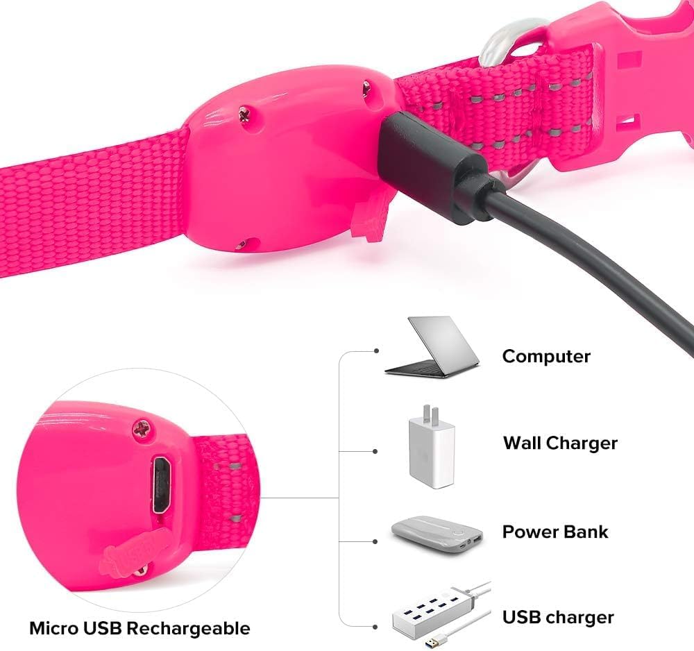 Light up Dog Collar - Reflective LED Dog Collar Rechargeable Glowing Pet Collar for Puppies & Cats, Safety Dog Lights for Night Walking