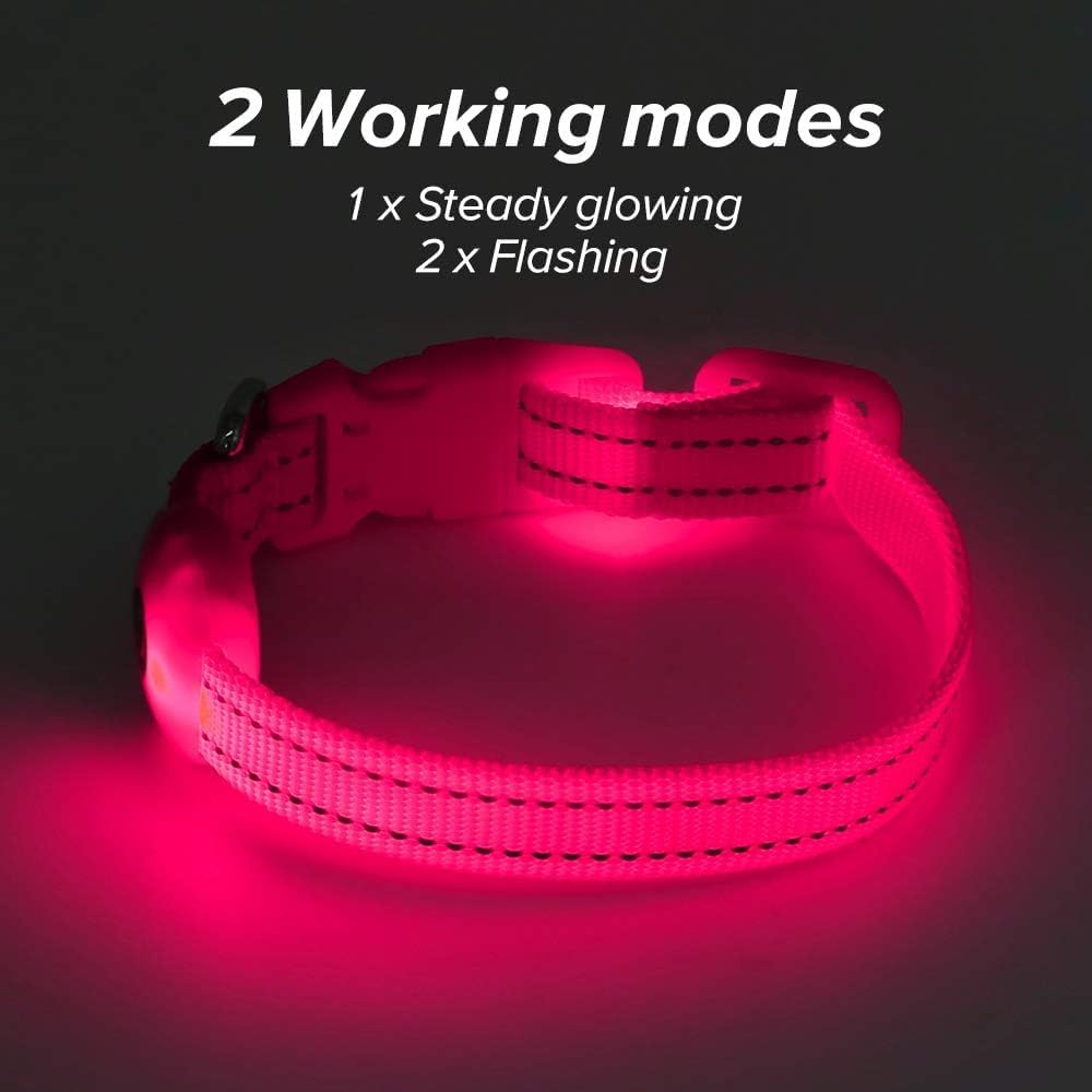 Light up Dog Collar - Reflective LED Dog Collar Rechargeable Glowing Pet Collar for Puppies & Cats, Safety Dog Lights for Night Walking