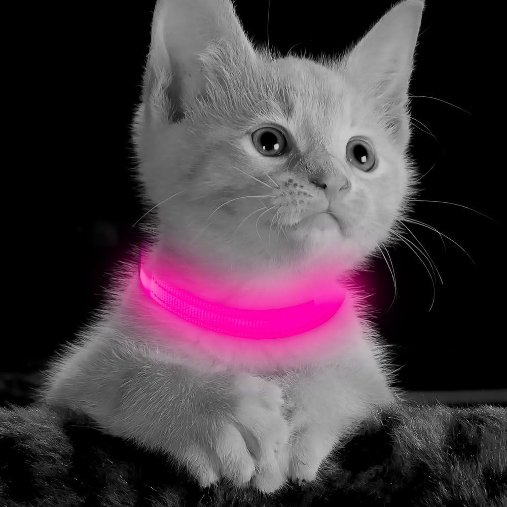 Light up Dog Collar - Reflective LED Dog Collar Rechargeable Glowing Pet Collar for Puppies & Cats, Safety Dog Lights for Night Walking