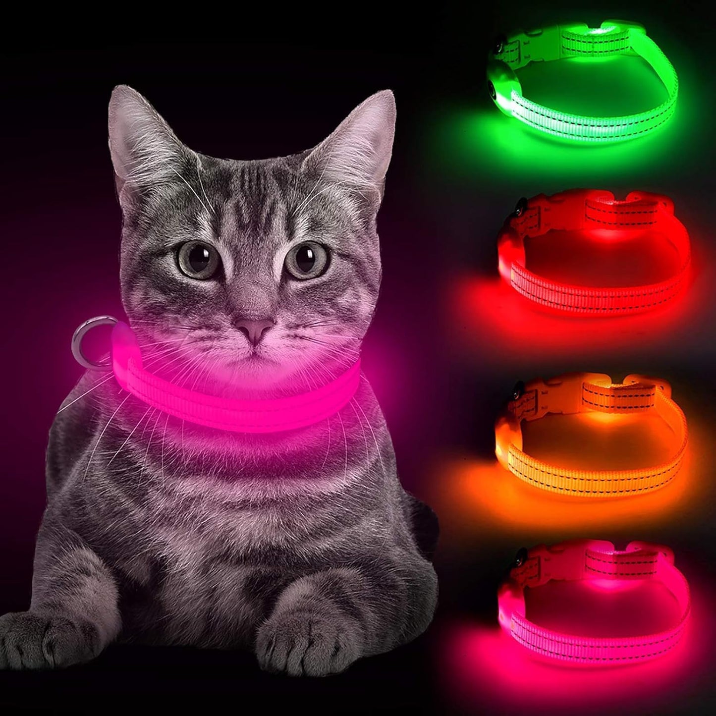 Light up Dog Collar - Reflective LED Dog Collar Rechargeable Glowing Pet Collar for Puppies & Cats, Safety Dog Lights for Night Walking