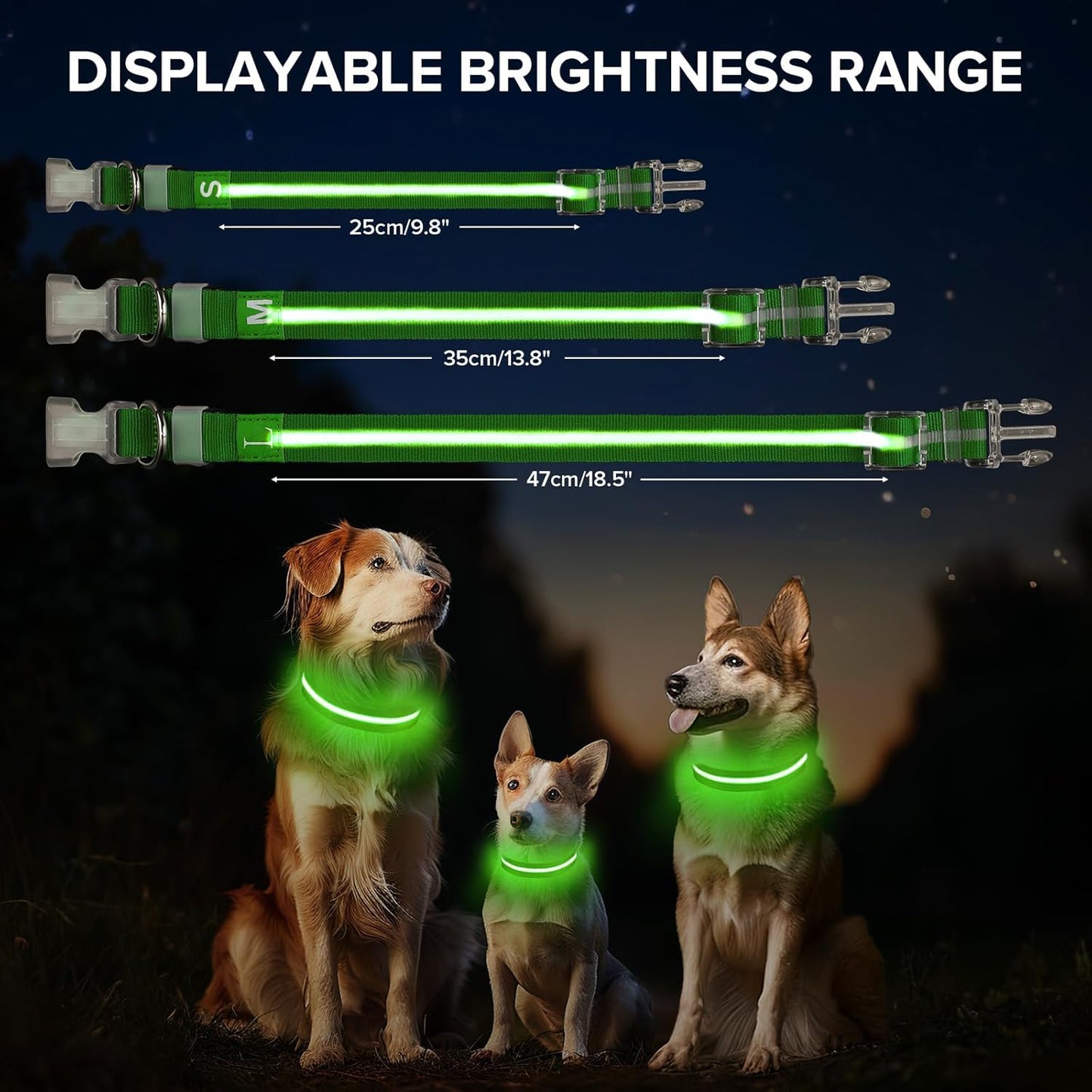 Light up Dog Collar, Adjustable USB Rechargeable Glow in Dark Dog Collar, Waterproof Dog Collars for Small Dogs (Green, Small)