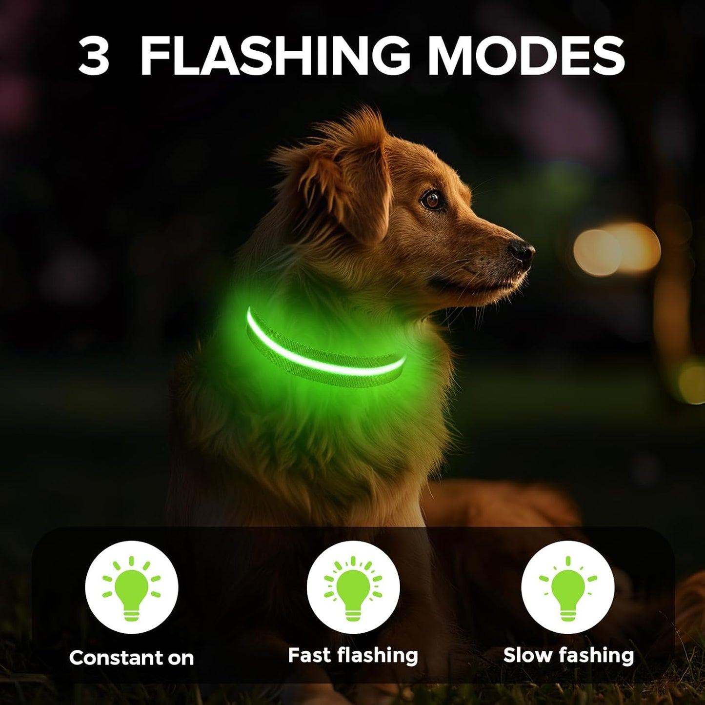 Light up Dog Collar, Adjustable USB Rechargeable Glow in Dark Dog Collar, Waterproof Dog Collars for Small Dogs (Green, Small)