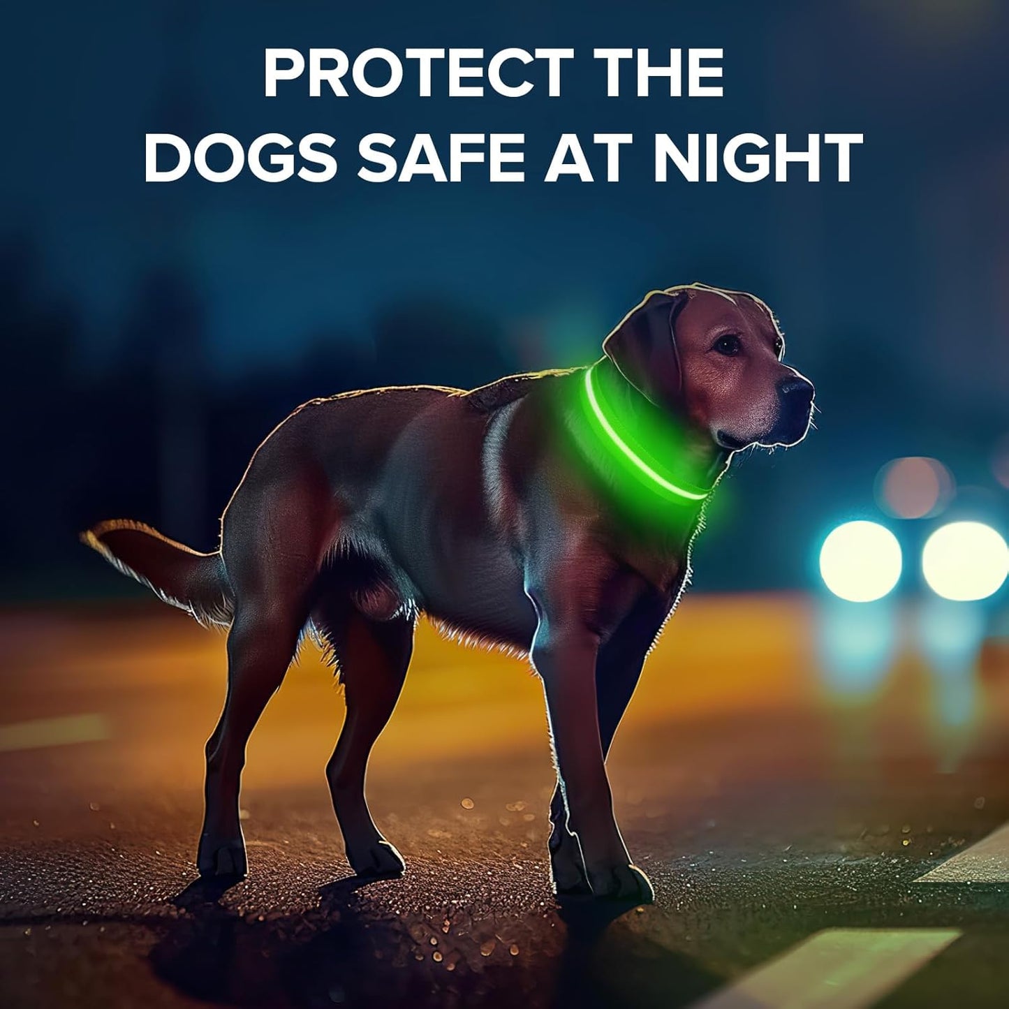 Light up Dog Collar, Adjustable USB Rechargeable Glow in Dark Dog Collar, Waterproof Dog Collars for Small Dogs (Green, Small)