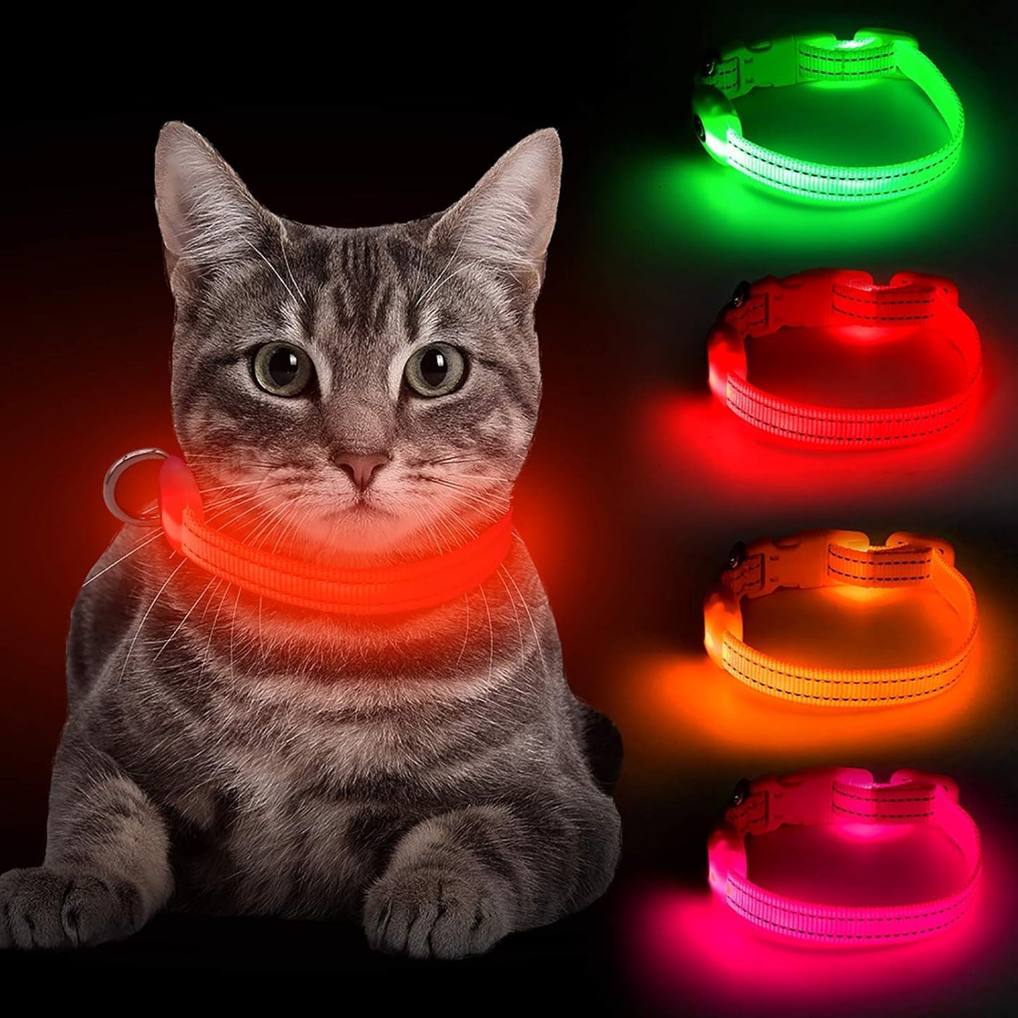 Light up Dog Collar - Reflective LED Dog Collar Rechargeable Glowing Pet Collar for Puppies & Cats, Safety Dog Lights for Night Walking