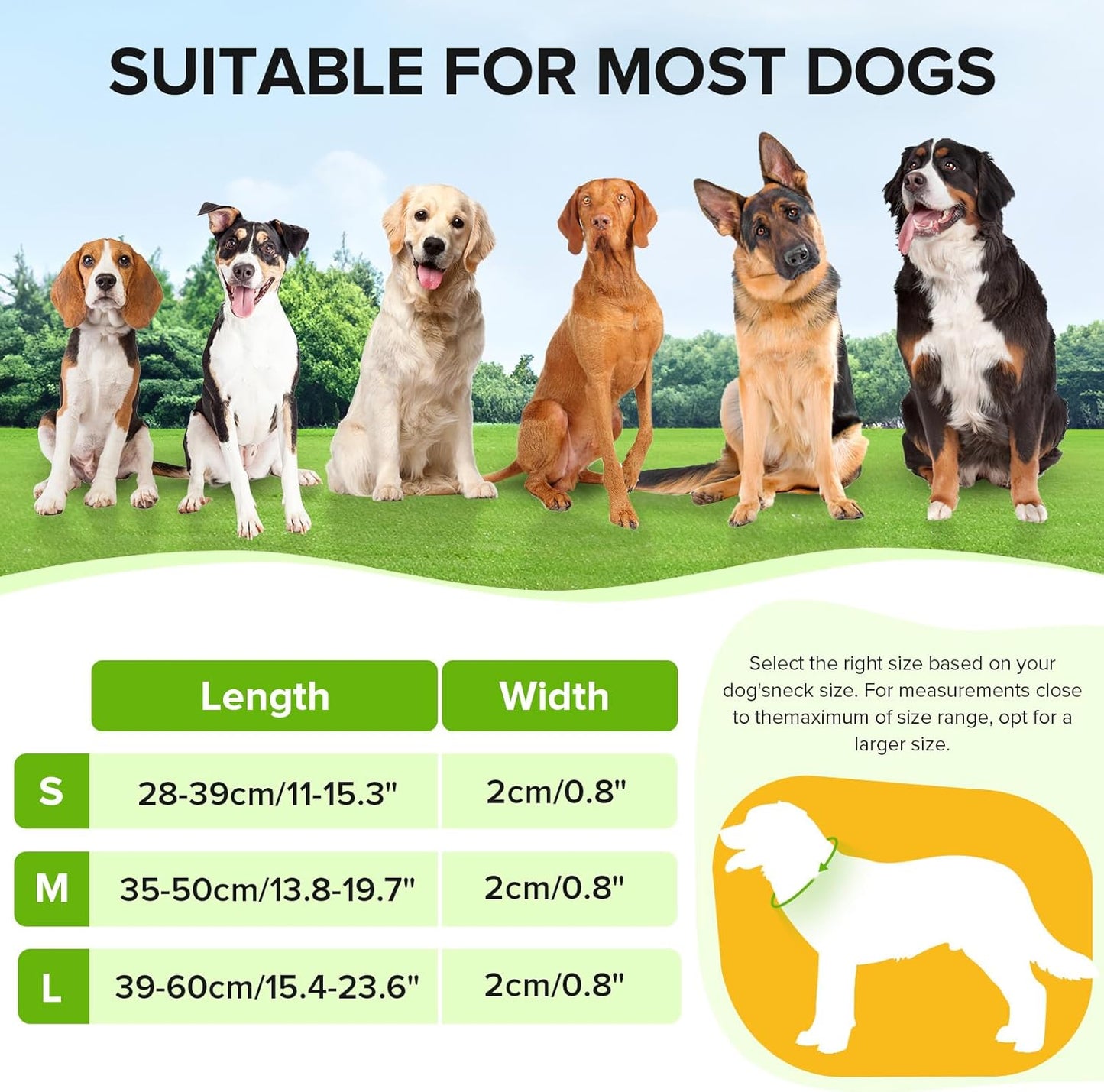 Light up Dog Collar, Adjustable USB Rechargeable Glow in Dark Dog Collar, Waterproof Dog Collars for Small Dogs (Green, Small)