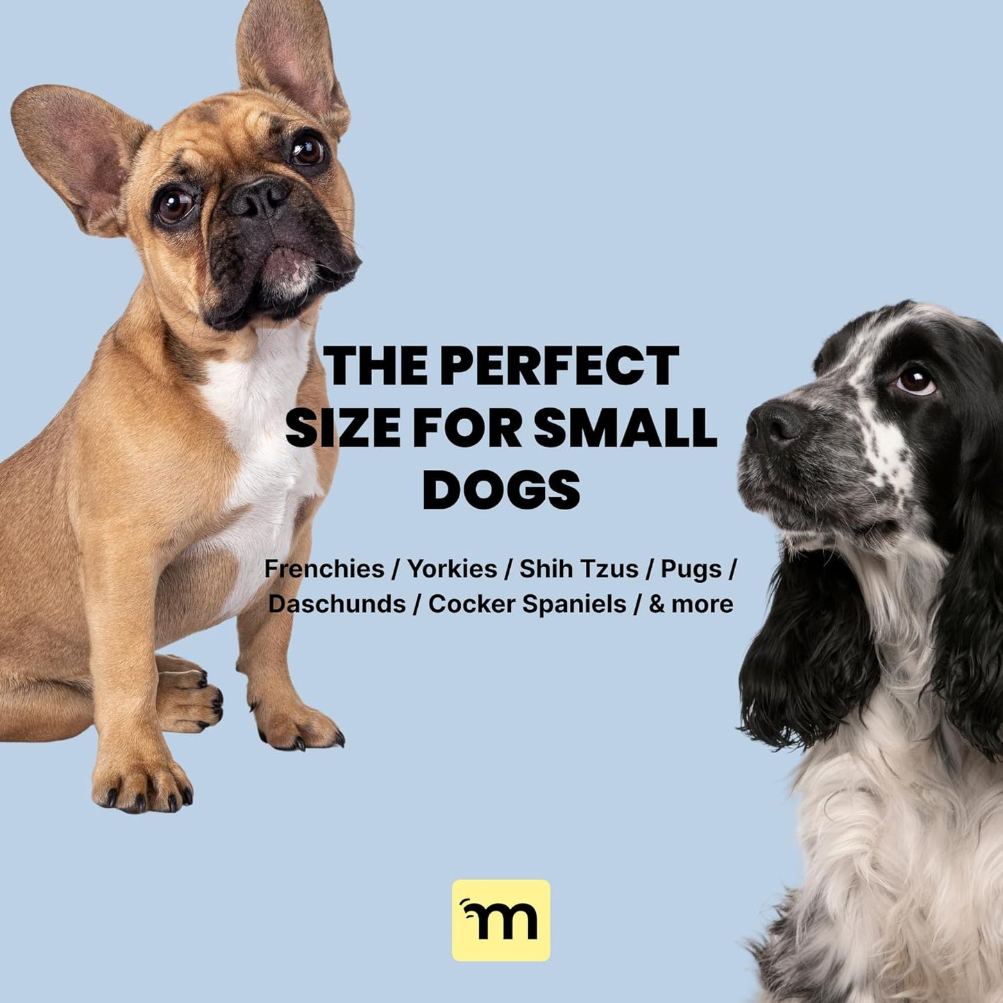 2-In-1 Portable Dog Water Bottle & Bowl for Small Dogs - Leak Proof & Insulating - Travel Water Dispenser - Stainless Steel Bottle & Silicone Bowl - Walking & Hiking