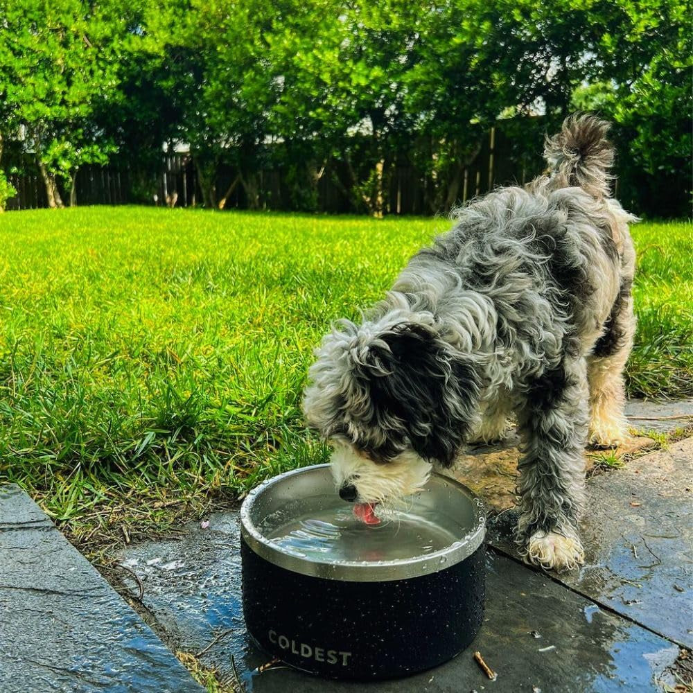 Stainless Steel Dog Bowl – Anti-Slip, Spill-Proof & Heavy Duty (21oz)
