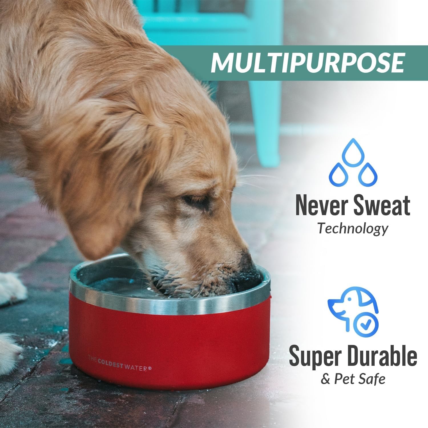 Stainless Steel Dog Bowl – Anti-Slip, Spill-Proof & Heavy Duty (21oz)