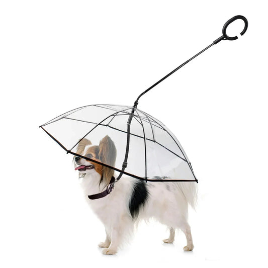 Dog Umbrella with Leash – Waterproof Pet Umbrella for Dogs, Clear Canopy Design