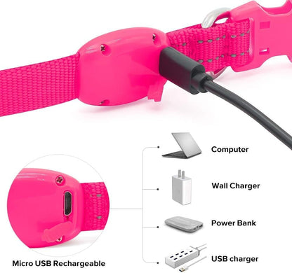 Light up Dog Collar - Reflective LED Dog Collar Rechargeable Glowing Pet Collar for Puppies & Cats, Safety Dog Lights for Night Walking