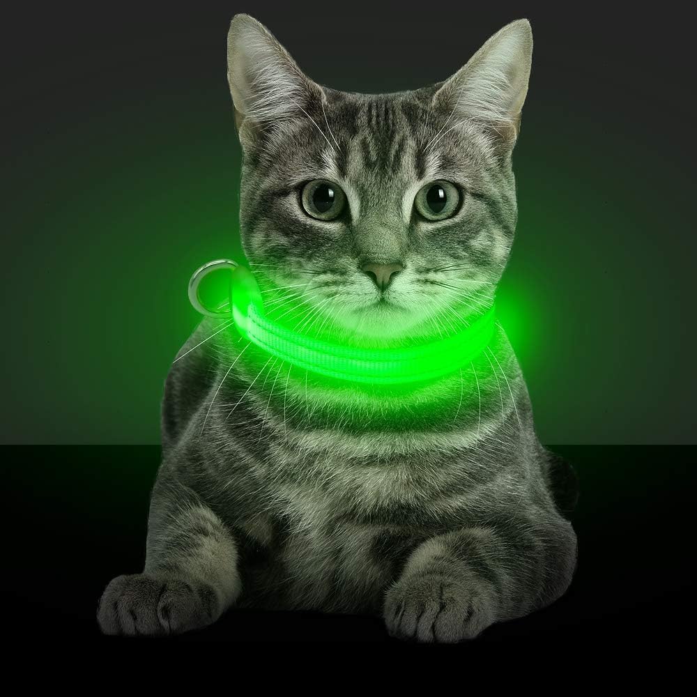 Light up Dog Collar - Reflective LED Dog Collar Rechargeable Glowing Pet Collar for Puppies & Cats, Safety Dog Lights for Night Walking