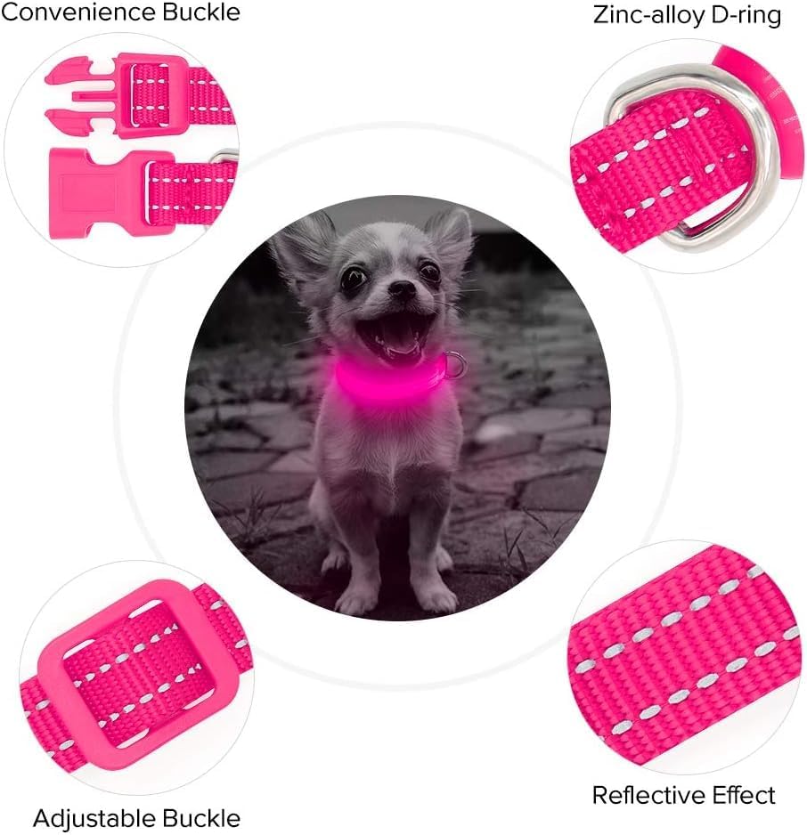 Light up Dog Collar - Reflective LED Dog Collar Rechargeable Glowing Pet Collar for Puppies & Cats, Safety Dog Lights for Night Walking