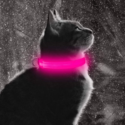Light up Dog Collar - Reflective LED Dog Collar Rechargeable Glowing Pet Collar for Puppies & Cats, Safety Dog Lights for Night Walking