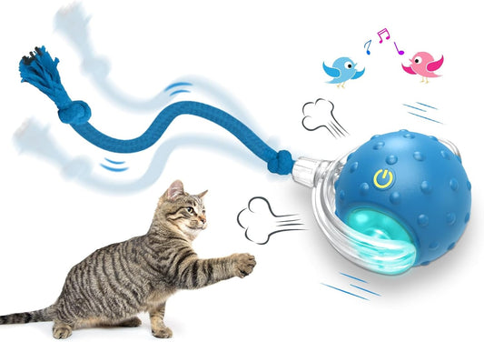 Interactive Cat Toy Ball – Motion-Activated Rolling Toy with Chirping Sounds for Indoor Cats (Blue)