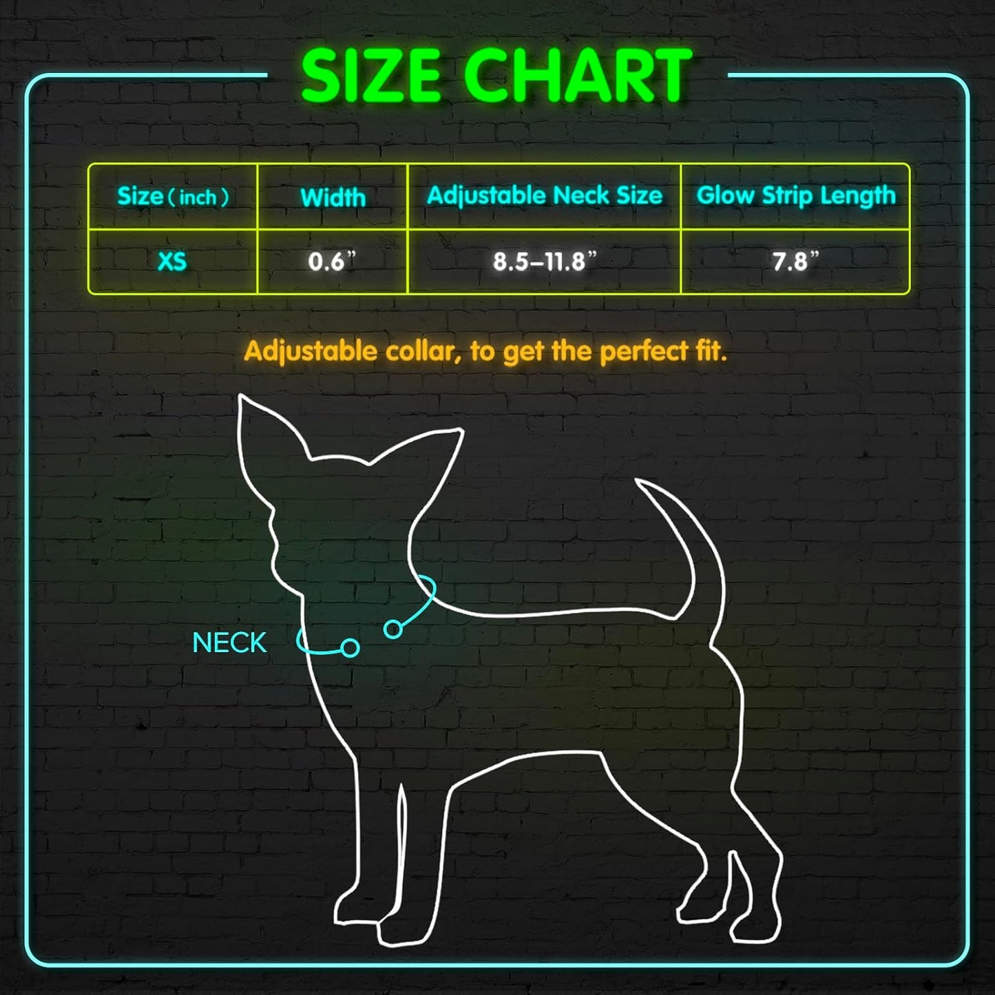 Light up Dog Collar - Reflective LED Dog Collar Rechargeable Glowing Pet Collar for Puppies & Cats, Safety Dog Lights for Night Walking