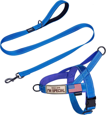No-Pull Reflective Dog Harness with Handle + Leash – Adjustable Training Vest for Small to Large Dogs (Black, Set of 2)