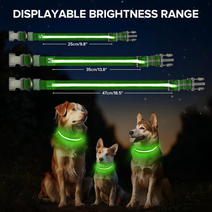 Light up Dog Collar, Adjustable USB Rechargeable Glow in Dark Dog Collar, Waterproof Dog Collars for Small Dogs (Green, Small)