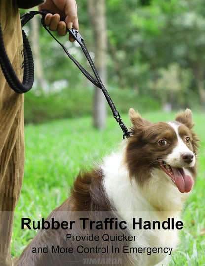 Heavy Duty Dog Leash, 4-6FT Shock Absorbing Dog Leashes with Traffic Handle and Comfortable Padded Handles, Advanced Easy Metal Clip, No Pull Reflective Leash for Medium Large Dogs That Pull (Black)