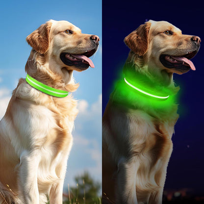 Light up Dog Collar, Adjustable USB Rechargeable Glow in Dark Dog Collar, Waterproof Dog Collars for Small Dogs (Green, Small)