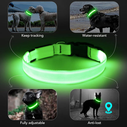 Led Dog Collar - Adjustable, Rechargeable, Waterproof, Glows in Dark for Medium Large Dogs