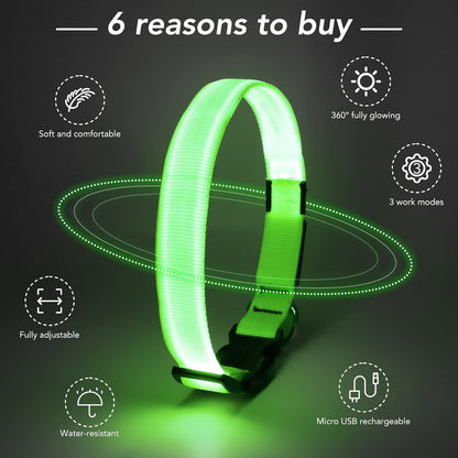 Led Dog Collar - Adjustable, Rechargeable, Waterproof, Glows in Dark for Medium Large Dogs