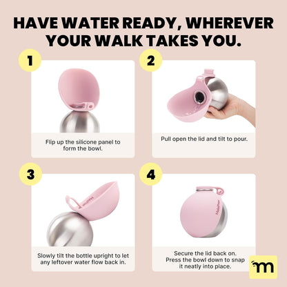 2-In-1 Portable Dog Water Bottle & Bowl for Small Dogs - Leak Proof & Insulating - Travel Water Dispenser - Stainless Steel Bottle & Silicone Bowl - Walking & Hiking