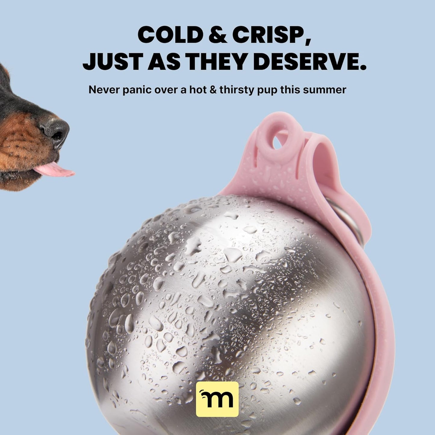 2-In-1 Portable Dog Water Bottle & Bowl for Small Dogs - Leak Proof & Insulating - Travel Water Dispenser - Stainless Steel Bottle & Silicone Bowl - Walking & Hiking