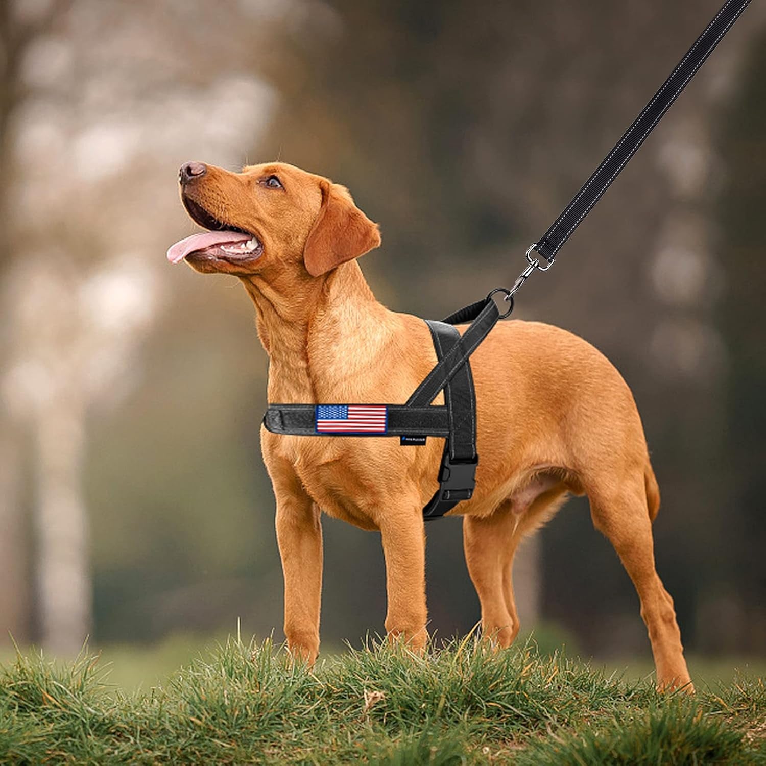 No-Pull Reflective Dog Harness with Handle + Leash – Adjustable Training Vest for Small to Large Dogs (Black, Set of 2)