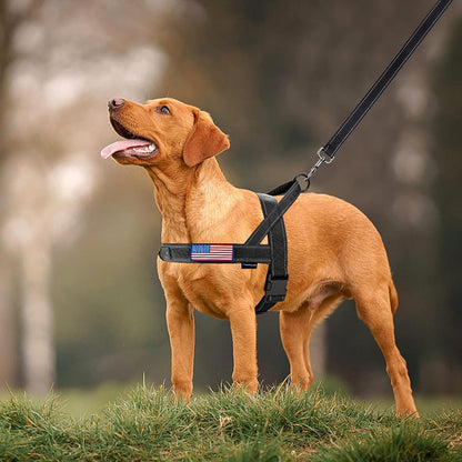 No-Pull Reflective Dog Harness with Handle + Leash – Adjustable Training Vest for Small to Large Dogs (Black, Set of 2)