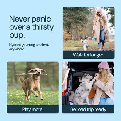 Portable Leak-Proof Dog Water Bottle with Attached Bowl – 1200ml Travel Dispenser for Pets