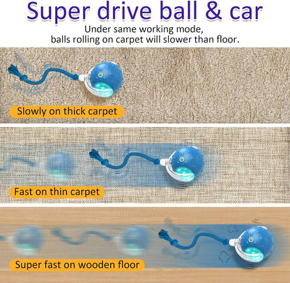 Interactive Cat Toy Ball – Motion-Activated Rolling Toy with Chirping Sounds for Indoor Cats (Blue)