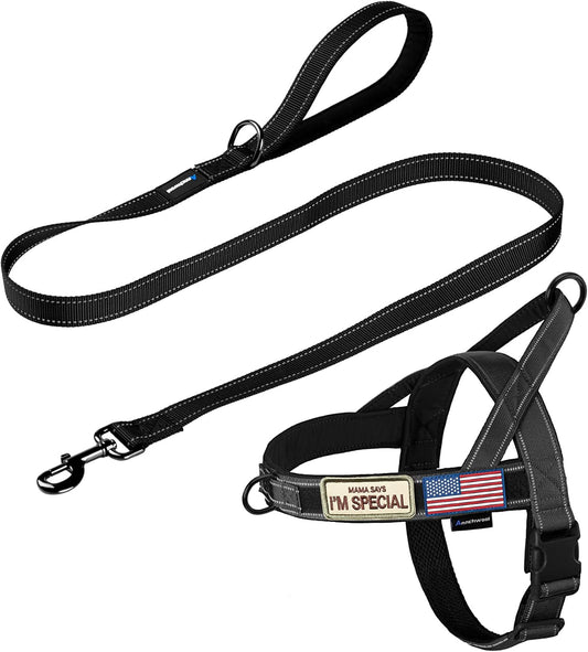 No-Pull Reflective Dog Harness with Handle + Leash – Adjustable Training Vest for Small to Large Dogs (Black, Set of 2)